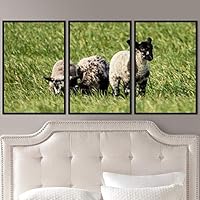 3 Piece Framed Canvas Wall Art Fun Animals Canvas Prints Home Artwork Decoration for Living Room,Bedroom - 16
