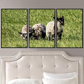 signwin 3 Piece Framed Canvas Wall Art Fun...