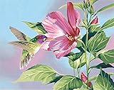 Dimensions PBN 14x11 HibiscusHumigbird, None