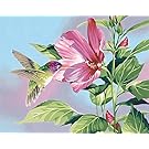 Dimensions Needlecrafts Paintworks Paint By Number, Hibiscus Hummingbird