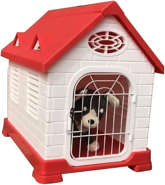 small dog daycare near me