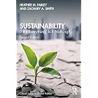 Sustainability: If It's Everything, Is It Nothing? (Critical Issues in Global Politics)