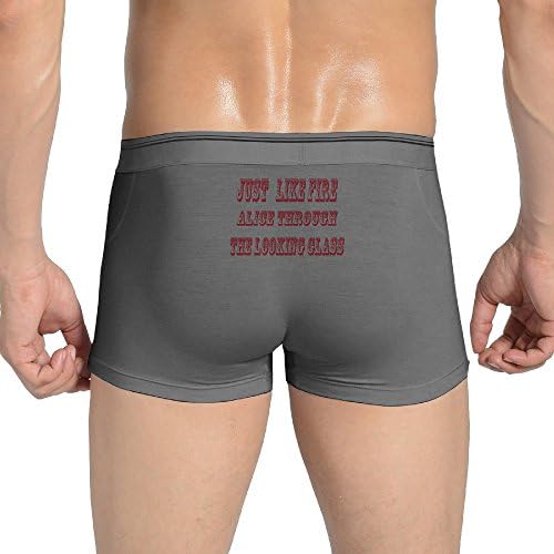 EVALY Men's Funny Movie Theme Song Logo Hipsters Boyshorts