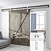SMARTSTANDARD 10FT Heavy Duty Sliding Barn Door Hardware Kit, Double Rail, Stainless Steel, Super Smoothly and Quietly, Simple and Easy to Install, Fit 60