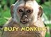 Busy Monkeys (A Busy Book)