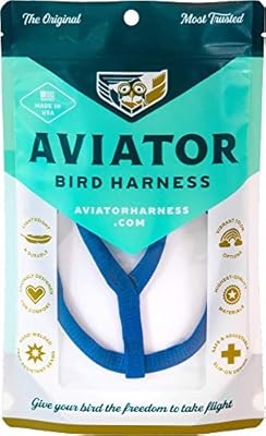 The Aviator Pet Bird Harness And Leash Blue L Amazon Com Au Pet Supplies