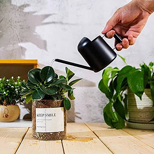 300ML Stainless Steel Water Cans Long Sprinkling Pot Mini Metal Watering Can for Indoor Outdoor Plants