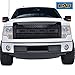 EAG Front Hood Grille ABS Replacement Upper Grill with Shell Black Fit for 09-14 Ford F-150