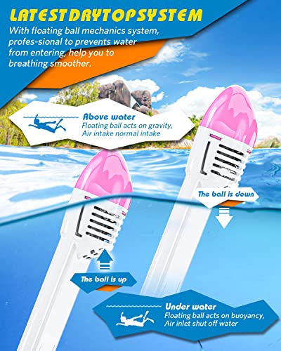 Mua QingSong Full Face Snorkel Mask for Adults, Snorkeling Gear with ...