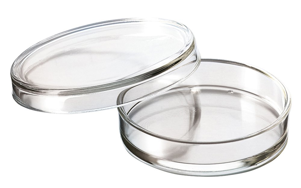 Duran 217544803 Petri Dish, 20 x 100 mm Amazon.co.uk Business