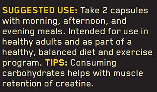 Optimum Nutrition Creatine Capsules - Image 10