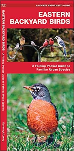 Eastern Backyard Birds A Folding Pocket Guide To Familiar Urban Species Wildlife And Nature Identification Kavanagh James Leung Raymond 9781583550748 Amazon Com Books