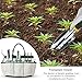 Garden Tools Set, Contains 6 pieces – Transplanter, Including Trowel, Cultivator, Weeding Fork, Weeder and Secateur. Heavy Duty Cast-aluminum Heads Ergonomic Handles Gardening Tool.FREE Garden Gloves.thumb 4