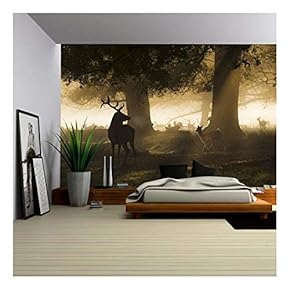 Male red deer looking a group of fallow deer running