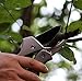 Gelindo Pruning Shears with Sharp Carbon SK-5 Steel Blade - Less Effort - Anti Slip Rubber Handles - Simple Unlocking Mechanism - Perfect for Apple Trees, Roses & Hedges