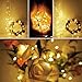 Fairy Lights Battery Operated Starry Firefly Silvery Wire String Lights 15 Pack 7.2ft 20 LED Jar Table Centerpiece for Wedding Christmas Halloween Party Decoration (Warm White)