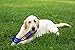 NHL New York Rangers Stick Toy for Dogs & Cats. Play Hockey with Your Pet with This Licensed Dog Tough Toy Reward!