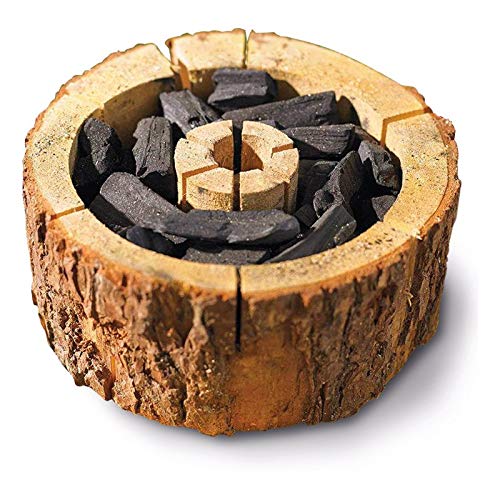 The coolest disposable barbecue of all times // 100% organic grill // EcoGrill