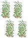 Lifetime Tomato Cages, Heavy Gauge Garden Plant Support, Set of 4, 32