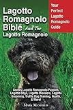 Lagotto Romagnolo Bible And The Lagotto Romagnolo: Your Perfect Lagotto Romagnolo Guide Covers Lagot by Mark Manfield