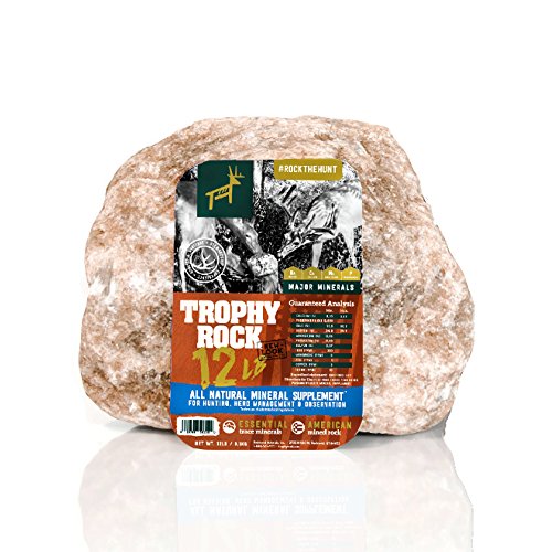 The Best Deer Mineral Blocks and Salt Licks »
