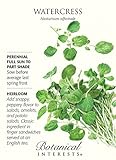Watercress Seeds - 250 mg - Perennial Herb