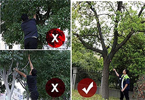 YXIAOL Teleskop Profi Astsäge Mit Gebogener Baumsäge Incl Mit 30 cm Sägeblatt Für Beschneiden Und Trimmen Zweige Und… – Bild 7