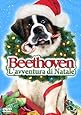 Amazon.it Beethoven Alla Ricerca Del Tesoro Acquista in DVD e Blu ray