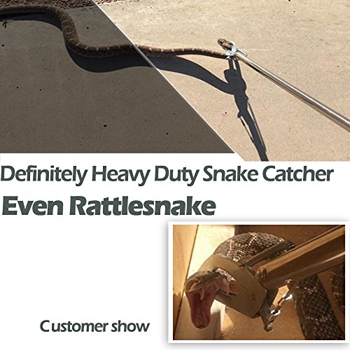 IC ICLOVER 47 Inch Snake Tong +39 Inch Snake Hook, 47 Inch Heavy Duty Professional Grabber &39 Inch Collapsible Snake Hook, Best Tool Set for Moving Rattle Snake Corn Snake Kingsnakes Lizard Reptiles - Thumbnail 6