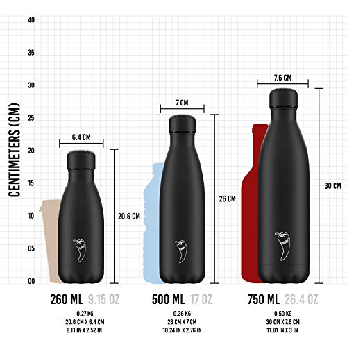 Chilly's Bottles BPAFree Stainless Steel Reusable Water Bottle Double