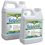 Kelp Green Organic Fertilizer, 1 Pint
