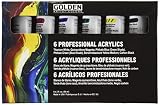 Principal Professional 6 Piece Heavy Body Acrylic Set