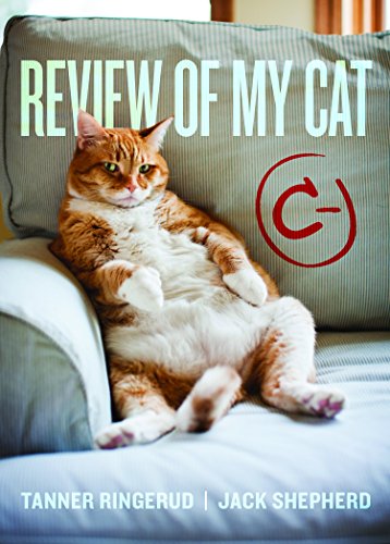 Review of My Cat (Best Price Pets Reviews)