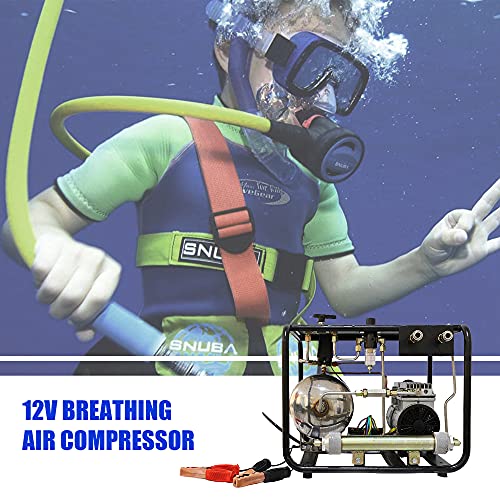 HPDMC Oilfree Hookah Dive System 12V Storage Battery Drive(Battery Not