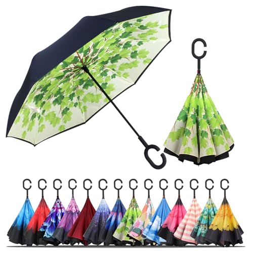 Llanxiry Inverted Umbrella