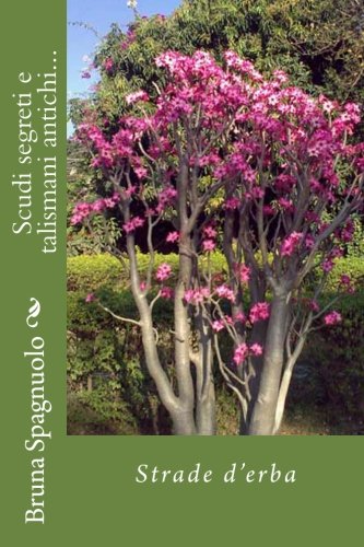 Scudi segreti e talismani antichi...: Strade d'erba (Volume 2) (Italian Edition)