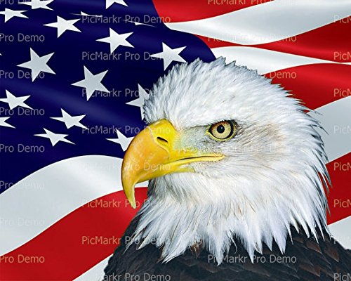 1/4 Sheet - Bald Eagle American Flag Background - Edible Cake/Cupcake Topper!!!