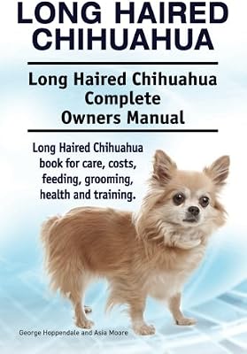 Long Haired Chihuahua Long Haired Chihuahua Complete Owners