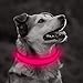 Domagiker LED Dog Collar Rechargeable - Waterproof Light Up Dog Collars, Adjustable Glow in The Dark Pet Collar, Safety Dog Lights for Night Walking (Large, Pink)