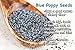 Sunbest Whole Blue English Poppy Seeds (England) in Resealable Bag Non Gmo-Vegan (4 Lb)