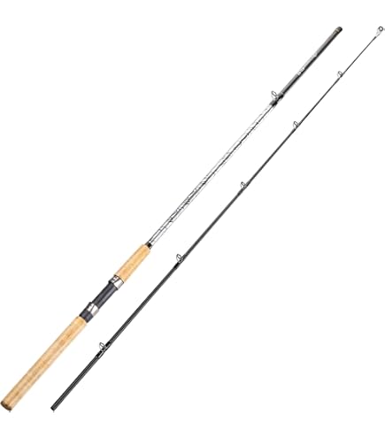 Amazon.com : Daiwa 21 Blazon S63UL-ST 1-Piece Spinning Model