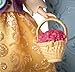 Disney Sofia The First Sofia Buttercup Scout Doll