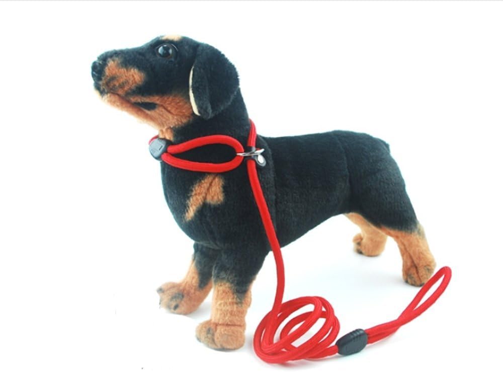 Strimm Adjustable Pet Dog Puppy Rope Slip Loop Leash Lead and Collar for Small Dogs- Red 8mm