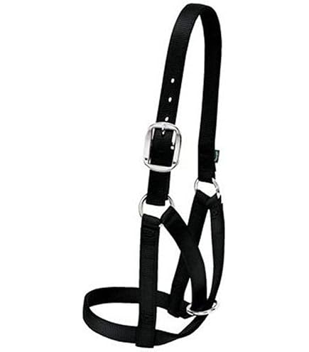 Licol Bicolore Nylon Doublé JMR - DESTOCK HORSE