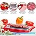 Delicious Kitchen Defrosting Tray with Red Foldable Basket That Catches Water | Safely Thaw Frozen Food and Meats Without Electricity Microwaves or Water