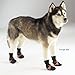 Guardian Gear Oxford Boots for Dogs, XXXS, Orange