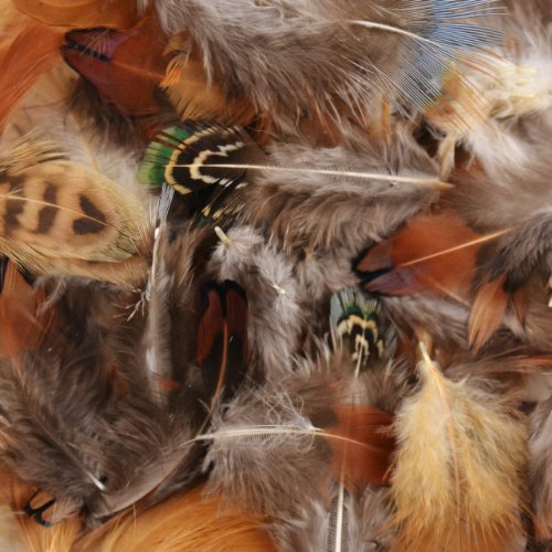 Touch of Nature Big Feather Value Pack 28GM Natural Feathers 1pkg