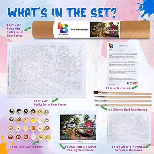 Paint by Number for Adults Beginner to Advanced Number Painting Kit Fun DIY Adult Arts and