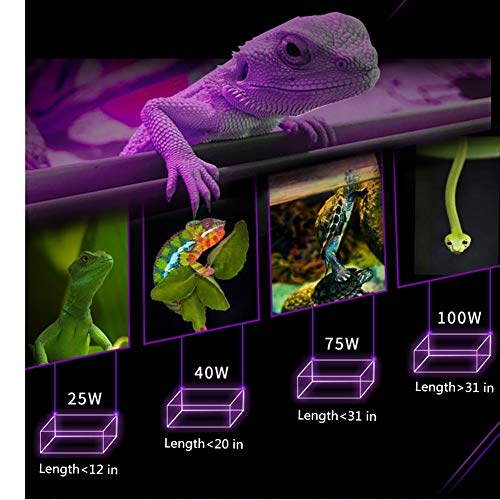 image for STTQYB UVA + UVB Full Spectrum Sun Lamp Sunbathe Heat Lamp/Bulb/Light 