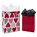 Hallmark Vida Medium Spanish Valentine's Day Gift Bag with Tissue Paper (Amor De Mi Vida)